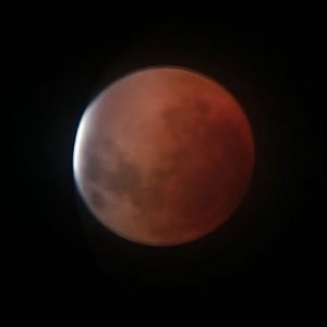 Meet your Posher, Thomas